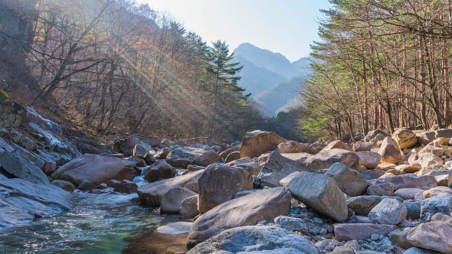 Seoul: Mt. Seoraksan National Park Autumn Foliage Day Tour - Price and value: what $60 includes, and what you’ll likely pay extra