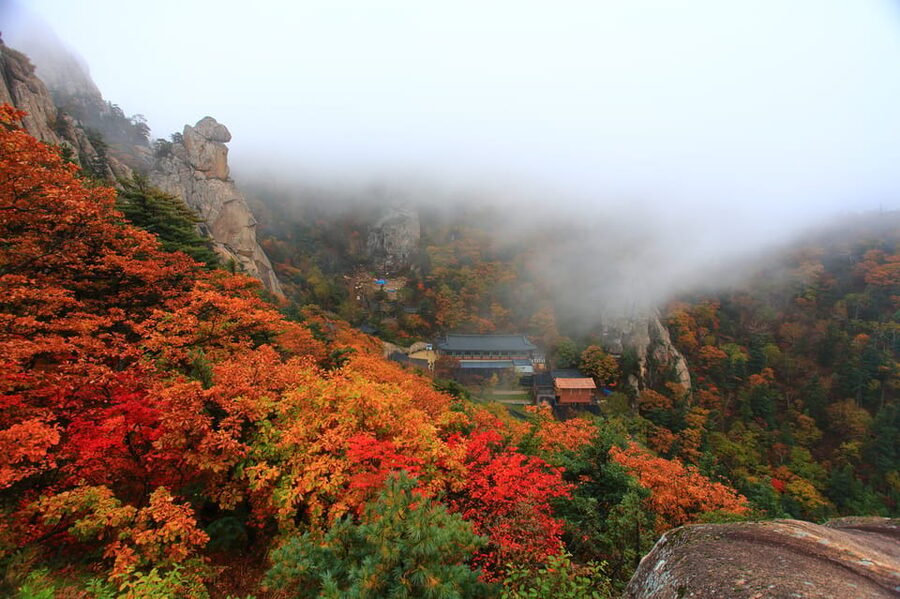 Seoul: Mt. Seoraksan National Park Autumn Foliage Day Tour - Who this tour suits best (and who should reconsider)