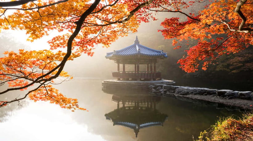 Seoul: Naejangsan National Park Autumn Foliage One Day Tour - What you’re paying $46 for (and why it’s reasonable)