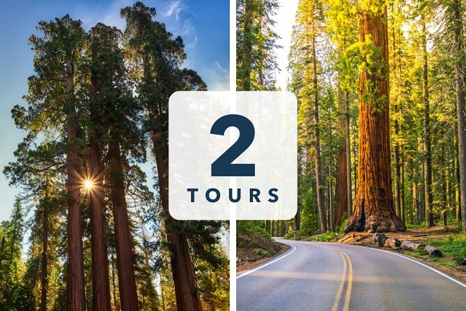 Sequoia and Kings Canyon Audio Tour Self Guide National Park Tour - Key highlights you’ll feel right away