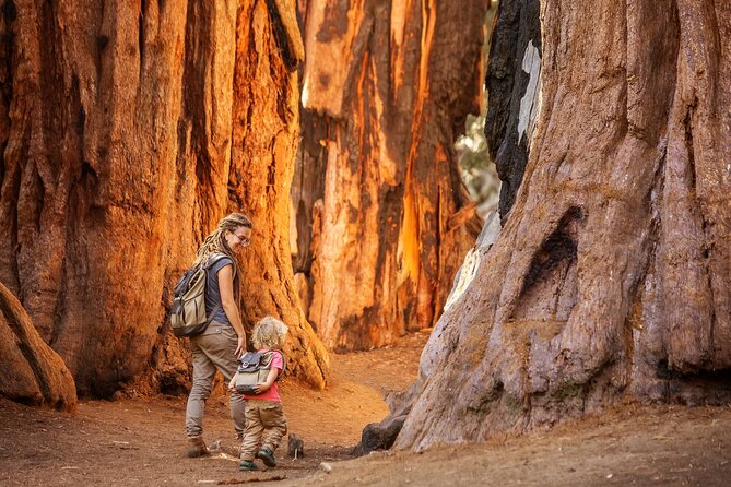 Sequoia and Kings Canyon Audio Tour Self Guide National Park Tour - Who This Tour Fits Best (and Who Might Want a Different Setup)