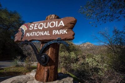Sequoia National Park Adventure from Tulare - Price and what you’re really buying for $299 per person
