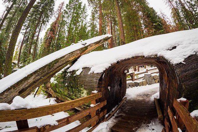 Sequoia National Park Adventure from Tulare - Seasonal expectations: what changes with weather and time of year
