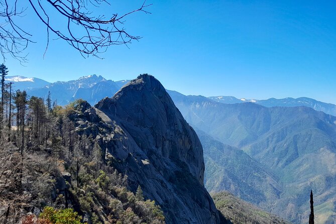 Sequoia National Park Private Tour - Sequoia and Kings Canyon Highlights on the Ground