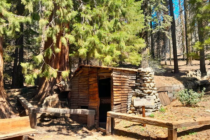 Sequoia National Park Private Tour - Who Should Book This Tour (And Who Might Not)