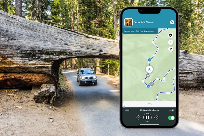 Sequoia National Park Self-Guided Audio Tour - Price and Value: $9.59 Per Group for a Full-Day Route