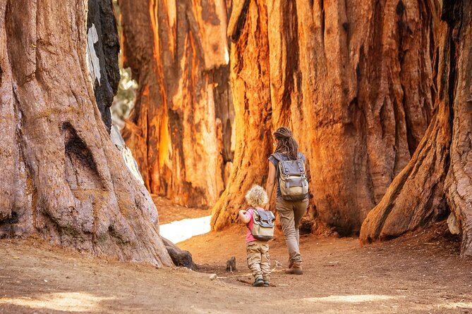 Sequoia National Park Self-Guided Audio Tour - Panoramas on Generals Highway: Amphitheater Point, Vista Point, and the Four Guardsmen