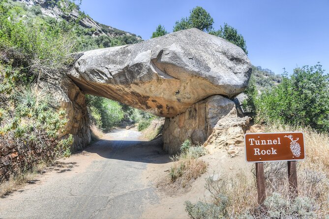 Sequoia National Park Self-Guided Audio Tour - Giant Forest Museum to General Sherman: The Easy Walk That Anchors the Whole Trip