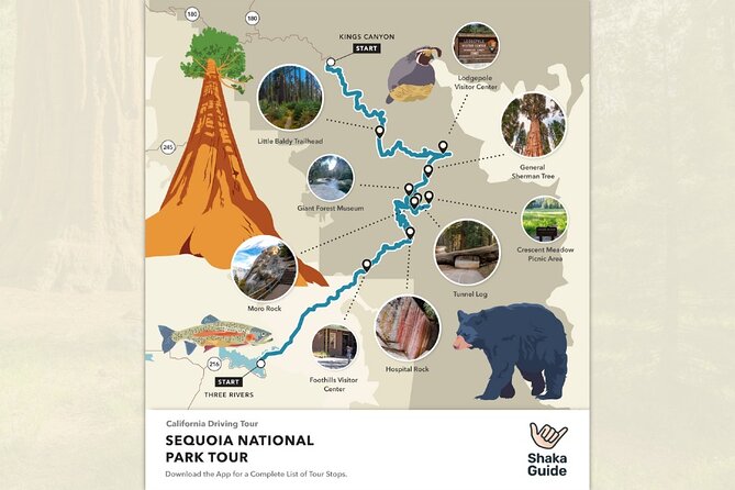 Sequoia National Park Self-Guided Audio Tour - Moro Rock, Tunnel Log, and Crescent Meadow: Where Short Stops Add Up