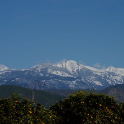 Sequoia National Park: Sherman Tree & Congress Trail Walk - Meeting at Upper Sherman: quick start, easy logistics