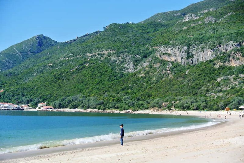 Sesimbra & Arrábida National Park Tour with 5 Wines Tasting - Key highlights worth waking up for
