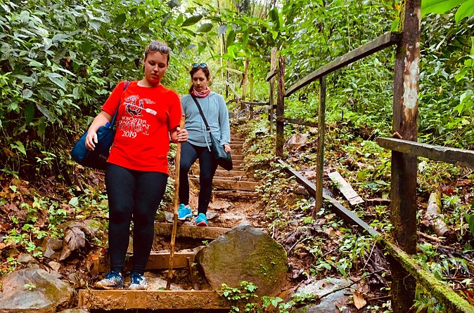 Seven Sisters Falls Hike / Annandale Falls / Grand Etang National Park & Lake - Grand Etang Lake: rainforest views and Mona monkey time