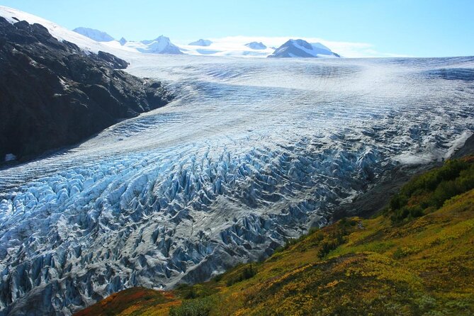 Seward and Kenai Fjords National Park Guided Tour with Lunch - A Kenai Fjords Day Tour That Feels Like More Than a Checklist