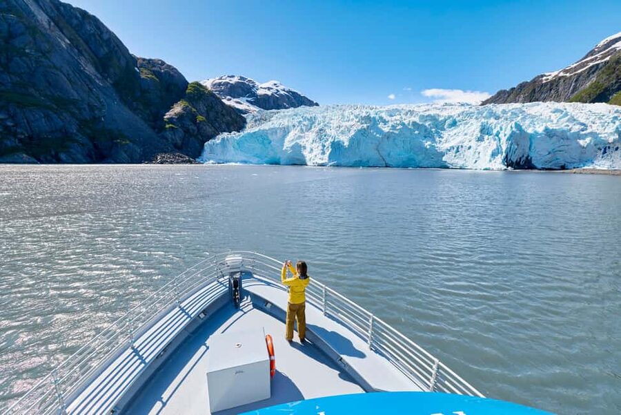Seward: Captain's Choice Kenai Fjords National Park Tour - From Seward Harbor to Kenai Fjords in a Real 7-Hour Window