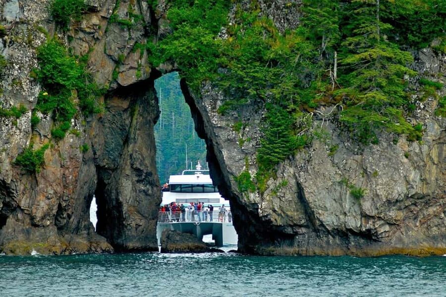 Seward: Captain's Choice Kenai Fjords National Park Tour - The Alaska Maritime National Wildlife Refuge Bird Show