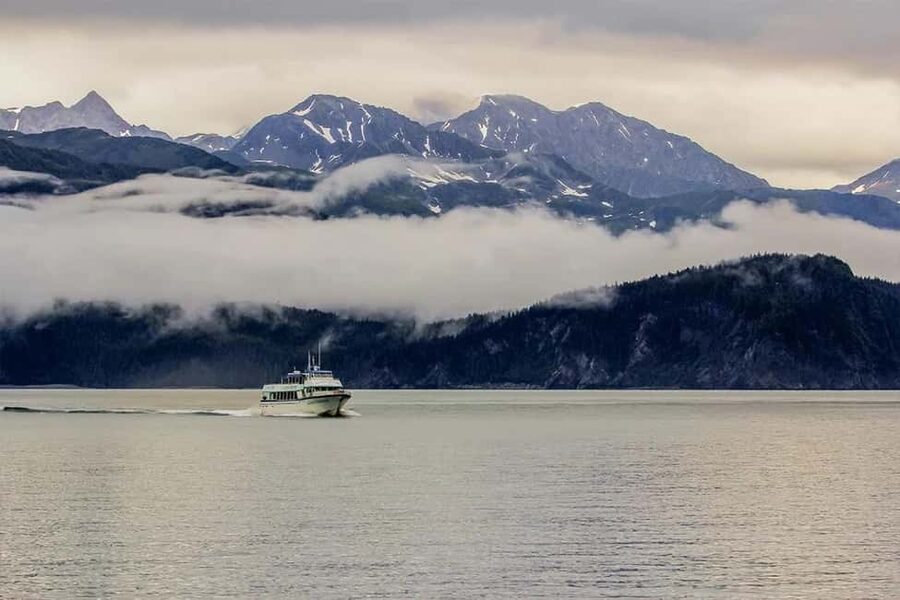 Seward: Captain's Choice Kenai Fjords National Park Tour - The Onboard Wildlife Guide: How Your Day Gets Better