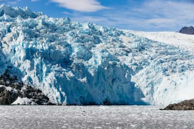 Seward: Kenai Fjords National Park Catamaran Cruise w/Lunch - Check-In to Cast-Off: How the 6-Hour Day Actually Starts