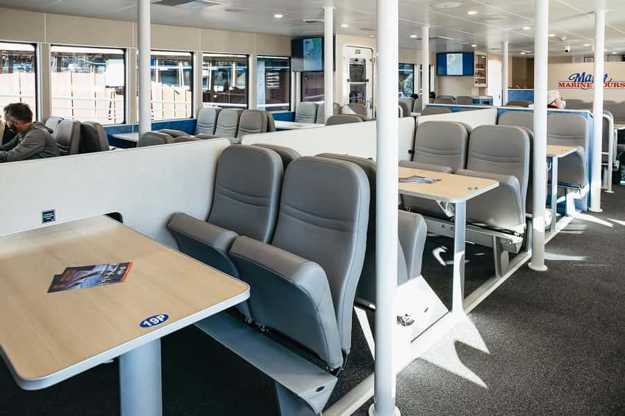 Seward: Kenai Fjords National Park Catamaran Cruise w/Lunch - Who should book this Seward Kenai Fjords catamaran cruise?
