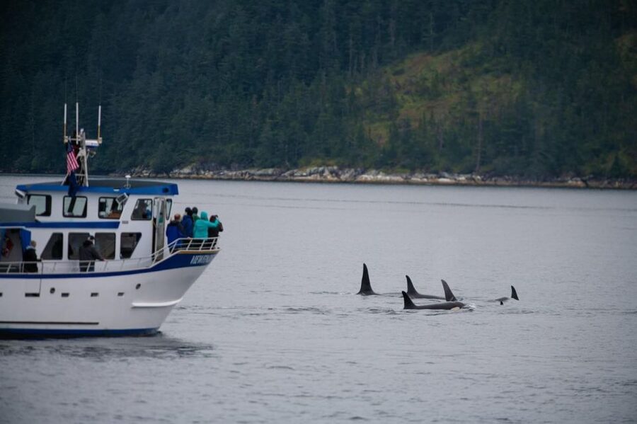 Seward: Kenai Fjords National Park Extended Cruise - Getting what you need for the weather (and keeping your hands warm)
