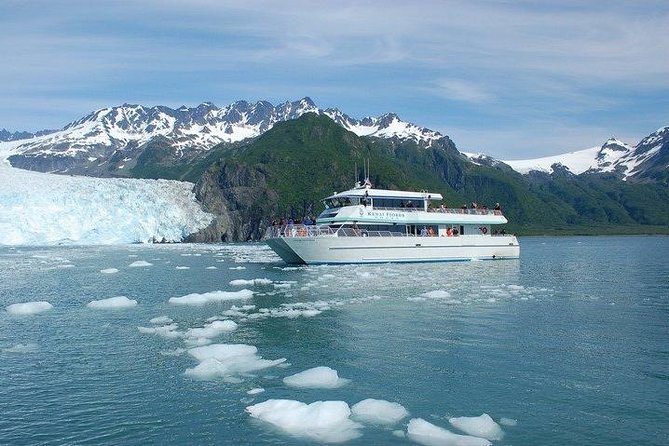 Seward Shore Excursion: Pre- or Post-Cruise Kenai Fjords National Park Tour - Kenai Fjords from the water: what this tour is really about
