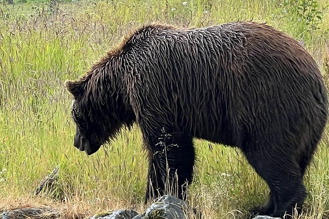 Seward to Anchorage transfer with National Park hike and AWCC - From Seward to Anchorage: why this transfer is more than point A to B