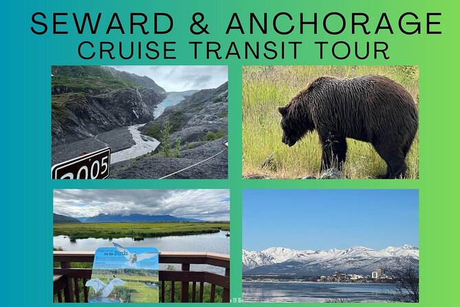 Seward to Anchorage transfer with National Park hike and AWCC - Exit Glacier in Kenai Fjords: your included hike and how to make it count