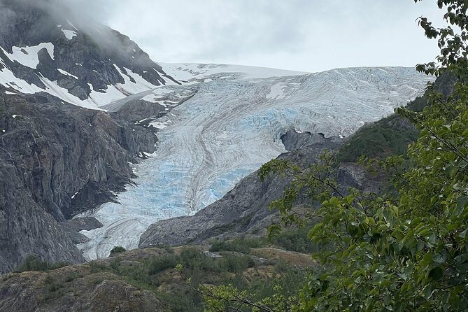Seward to Anchorage transfer with National Park hike and AWCC - Alaska Wildlife Conservation Center: rescue stories and real animal viewing