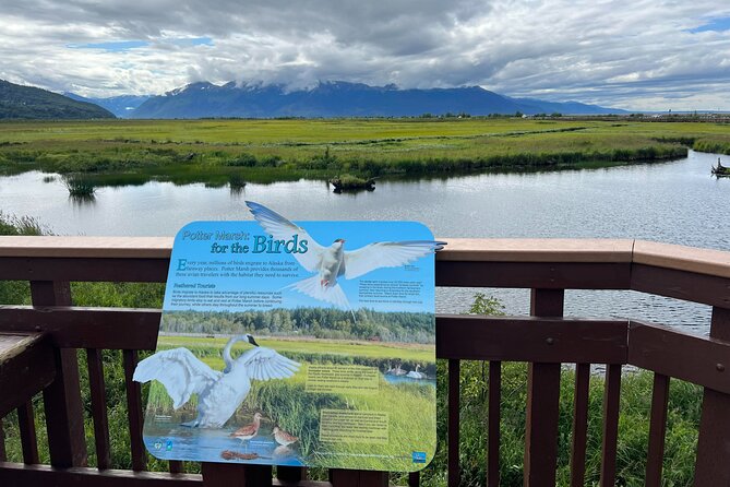 Seward to Anchorage transfer with National Park hike and AWCC - Potter Marsh Bird Sanctuary: the wetland stop that keeps producing wildlife