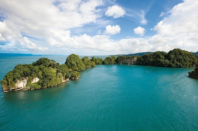Shared 10-12 Hours Tour in Los Haitises National Park - How wildlife viewing works here: hutia and solenodon expectations