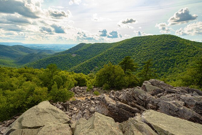 Shenandoah National Park Self-Guided Driving Audio Tour - Dickey Ridge to Range View: trails, visitor essentials, and big-picture context