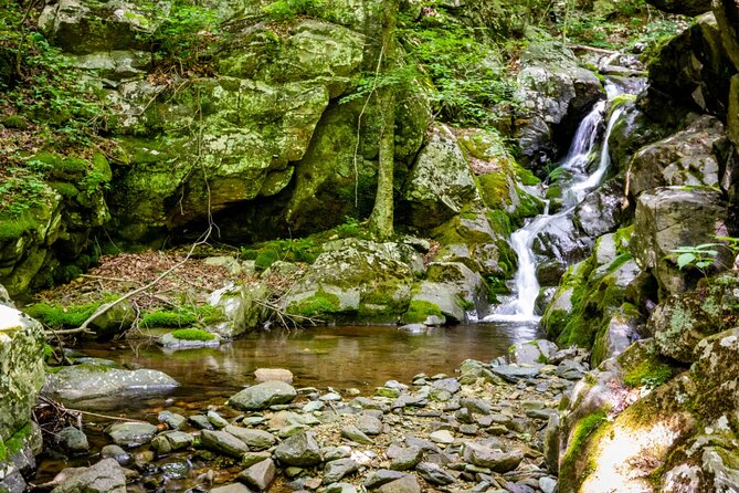 Shenandoah National Park Self-Guided Driving Audio Tour - Easy hikes near the overlooks: Stony Man and Limberlost for low-stress walking