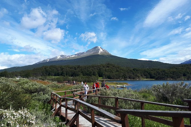 Shore Excursion - National Park Tierra del Fuego - Entering Tierra del Fuego National Park From Ushuaia (Without the Headache)
