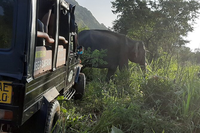 Sigiriya, Dambulla and Minneriya National Park Private Tour In - Key highlights you should know