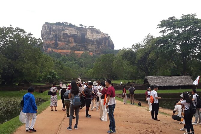 Sigiriya, Dambulla and Minneriya National Park Private Tour In - Price and value: what $50 covers and what you should expect to pay on top