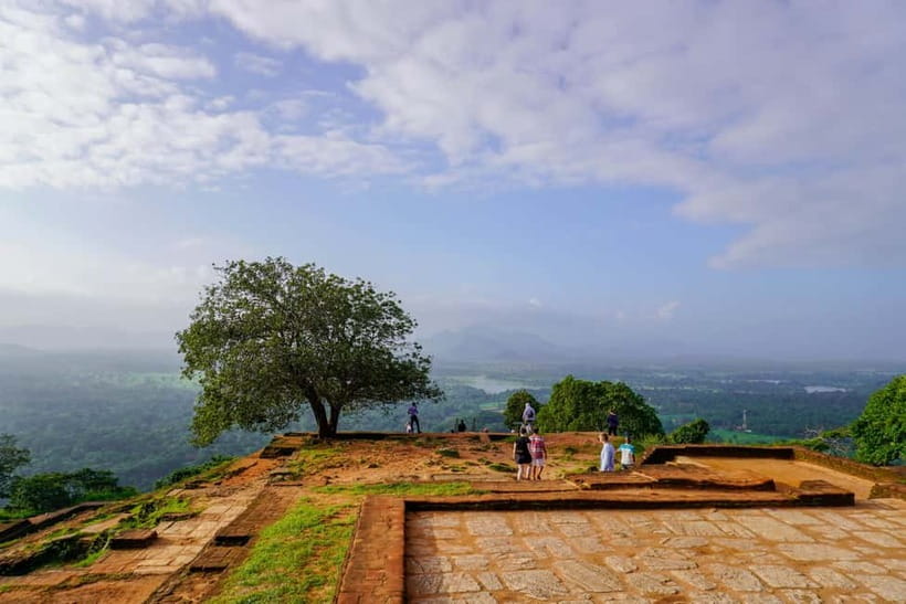 Sigiriya Lion Rock Hike & Minneriya National Park Safari - Afternoon safari in a choice of parks: how to pick your elephant odds