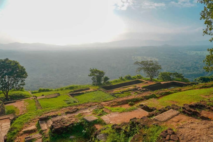 Sigiriya Lion Rock Hike & Minneriya National Park Safari - Wildlife sightings you can realistically hope for