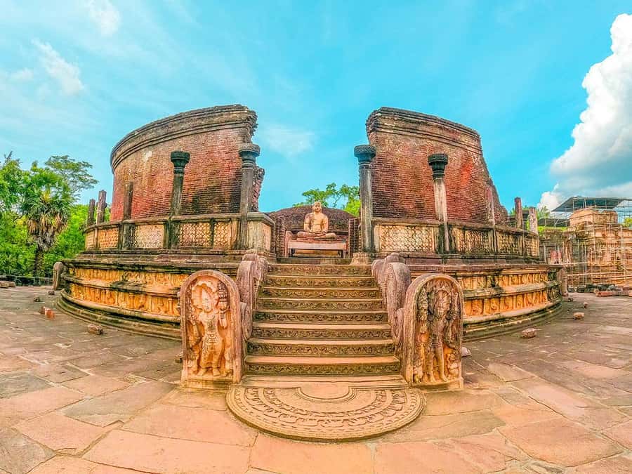 Sigiriya: Minneriya National Park Half Day Safari - Key Points You’ll Actually Use