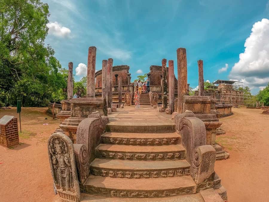 Sigiriya: Minneriya National Park Half Day Safari - The Real Deal on This Sigiriya to Minneriya Half-Day Safari