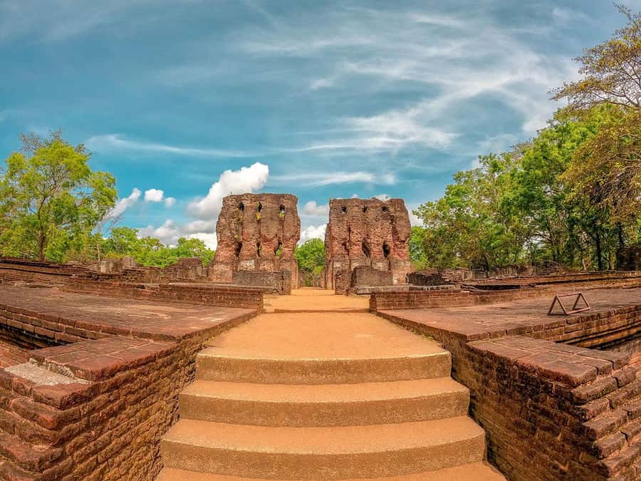 Sigiriya: Minneriya National Park Half Day Safari - Return to Your Hotel: Calm Ending, Not a Rush