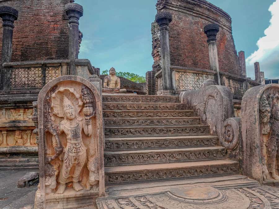 Sigiriya: Minneriya National Park Half Day Safari - Price and Value: What You’re Paying For