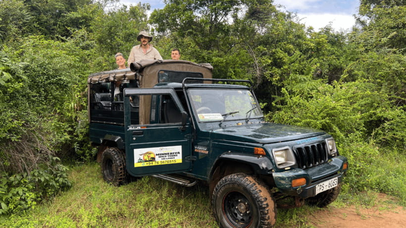 Sigiriya Rock Hike & Minneriya Elephant Safari – Day Tour - A note on service reliability: what you should watch for