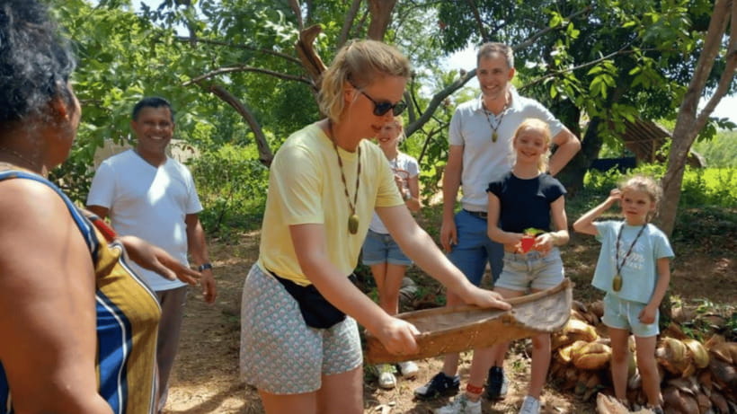 Sigiriya Rock Hike & Minneriya Elephant Safari – Day Tour - The optional official audio guide: turning ruins into a story
