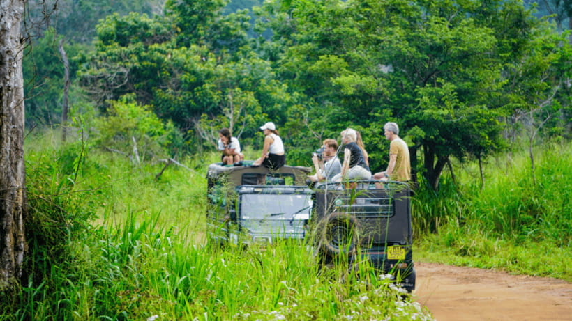 Sigiriya Rock Hike & Minneriya Elephant Safari – Day Tour - Minneriya National Park safari: 4x4 spotting time for elephants