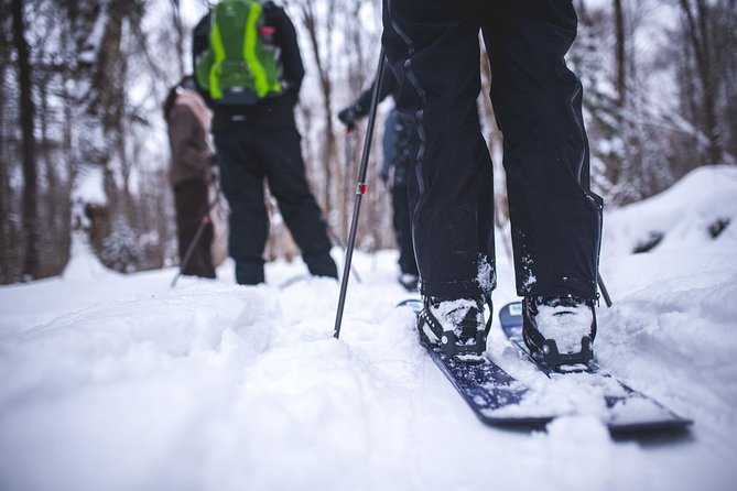 Skiing (Hok Ski) Excursion in Jacques-Cartier National Park - What Ski-Hok in Jacques-Cartier Really Feels Like (and What It Isn’t)