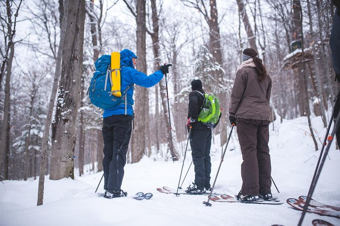 Skiing (Hok Ski) Excursion in Jacques-Cartier National Park - The Half-Day Schedule: How This 4 Hours Fits a Quebec City Trip