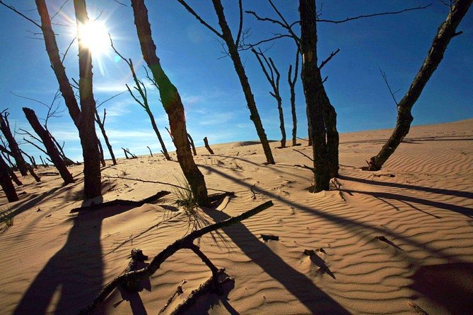 Slowinski National Park Private Tour - Lakes and wetlands: seeing Lebsko and Gardno beyond the sand