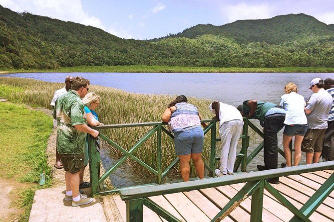 Small-Group Adventure Trek in Grand Etang National Park - Why Grand Etang’s spice trail works so well in three hours