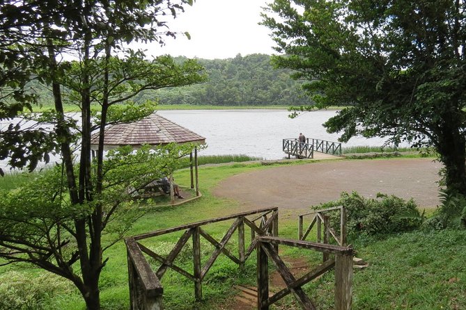 Small-Group Adventure Trek in Grand Etang National Park - Nature Center finish with an included drink