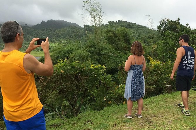 Small-Group Adventure Trek in Grand Etang National Park - Fitness level and weather reality check