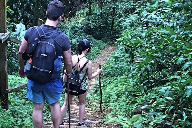 Small-Group Adventure Trek in Grand Etang National Park - Learning the forest by smell: wild nutmeg, cinnamon, and ginger stops